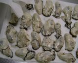 簡単かきフライ作り方1写真