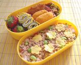2006年お弁当の記録作り方6写真