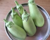翡翠茄子と蟹のカネロニ作り方1写真