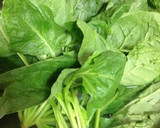 胡麻たっぷりほうれん草の胡麻和え作り方1写真