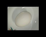 エリンギ入りオムレツ作り方2写真