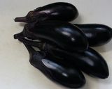 茄子のサラダ！？★茄子の中華風・胡麻和え作り方1写真