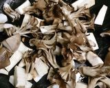 鶏肉ときのこのオイスターソース炒め作り方4写真