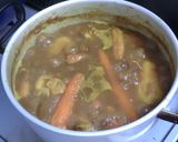 ゴロゴロ☆スープカレー作り方3写真