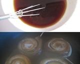 サンマ 梅ダレ クルクル作り方4写真