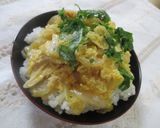 酒かす味噌漬けで速攻親子丼作り方7写真