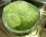 レタスを美味しく作り方3写真