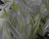 鶏葱作り方19写真