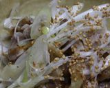 鶏葱作り方22写真
