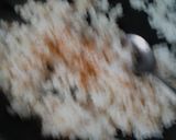 ゴマが香ばしいにんにくライス作り方2写真
