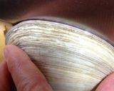 じいじに教わった焼き大あさり作り方1写真