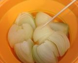 タマネギ氷作り方3写真