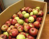 ★Appleパイに使える★りんごジャム作り方10写真