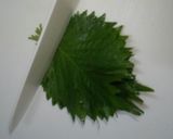 もやし入り鶏つくねしそ巻き☆梅ソースのせ作り方1写真