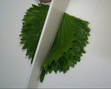 もやし入り鶏つくねしそ巻き☆梅ソースのせ作り方2写真