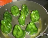 肉詰めピーマンのトマト煮込みざんす。作り方6写真