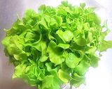 身近な材料で作る生春巻き作り方1写真