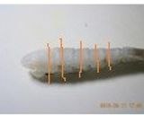 海老の下ごしらえ作り方6写真