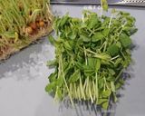 温かいきゅうりは美味い。しらす炒め作り方4写真