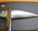 いわしの手開きのおろし方作り方1写真