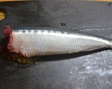 いわしの手開きのおろし方作り方2写真