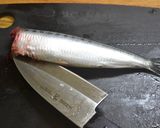 いわしの手開きのおろし方作り方3写真