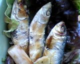 ママカリの忍皮漬け作り方6写真