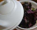 梅干しの漬け方&作り方作り方21写真