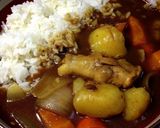 野菜ゴロゴロスパイシーチキンカレー作り方8写真