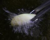 茄子揚げ浸し作り方8写真