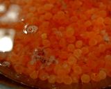 簡単☺筋子・いくらの醤油漬け（いくら丼）作り方11写真
