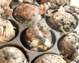 ブラックでイカす!?たこ焼き作り方4写真