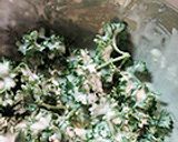 止まらないパセリのフリッター作り方3写真
