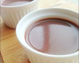 低コスト！お口でとろける濃厚パンナコッタ作り方8写真