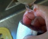 圧力鍋でさんまの骨までパクっ作り方5写真
