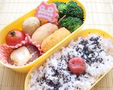 2006年お弁当の記録作り方18写真