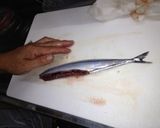 初心者にもOK簡単漁師さんプロサンマ刺身作り方11写真