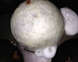 簡単、お月見饅頭作り方5写真