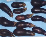 野菜の冷蔵庫保存イロイロ！作り方1写真