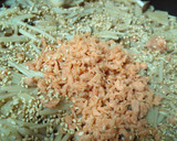 きのこと鮭の炊込みご飯作り方4写真