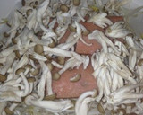 簡単！ご飯が進みます！鮭と野菜蒸し作り方2写真
