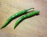 これはクセになる「からし塩麹」de辛旨！作り方1写真