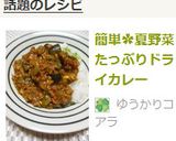 簡単✿夏野菜たっぷりドライカレー作り方10写真