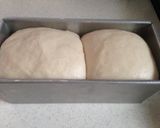自家製酵母de山食パン作り方8写真