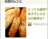 とっても簡単*長ネギとささみの春巻き*作り方9写真
