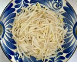 鶏もも肉ともやしのピリ辛炒め煮作り方7写真