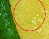 常備菜に！もりもり食べちゃう浅漬け♪作り方3写真