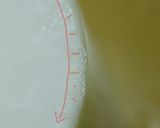 常備菜に！もりもり食べちゃう浅漬け♪作り方7写真