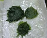 青シソ塩漬け＆シソの葉おにぎり作り方10写真