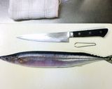 さんまのお造り お刺身三枚おろし魚捌き方作り方1写真